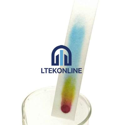 Separation Ink Chromatography Lab