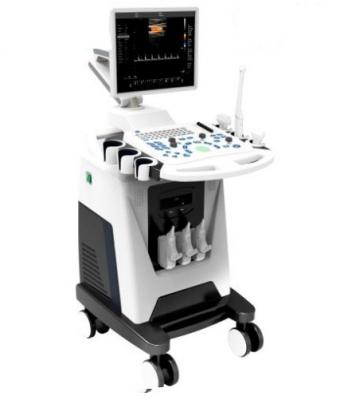 Digital Ultrasound with 4D Color Doppler