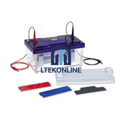 Double Gel Electrophoresis Apparatus Electrophoresis Lab