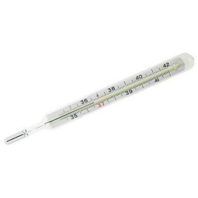 Flat Oval Thermometer Hospital Diagnostic