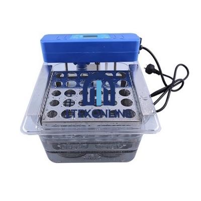 Thermostatic Water Bath