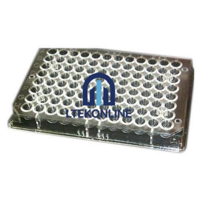 Microtiter Plate Biology Lab