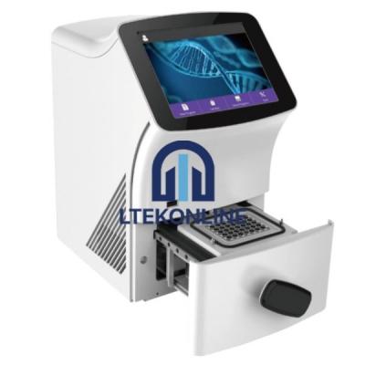 Polymerase Chain Reaction Real Time PCR