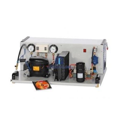 Thermodynamics Study Kit Set Suppliers China